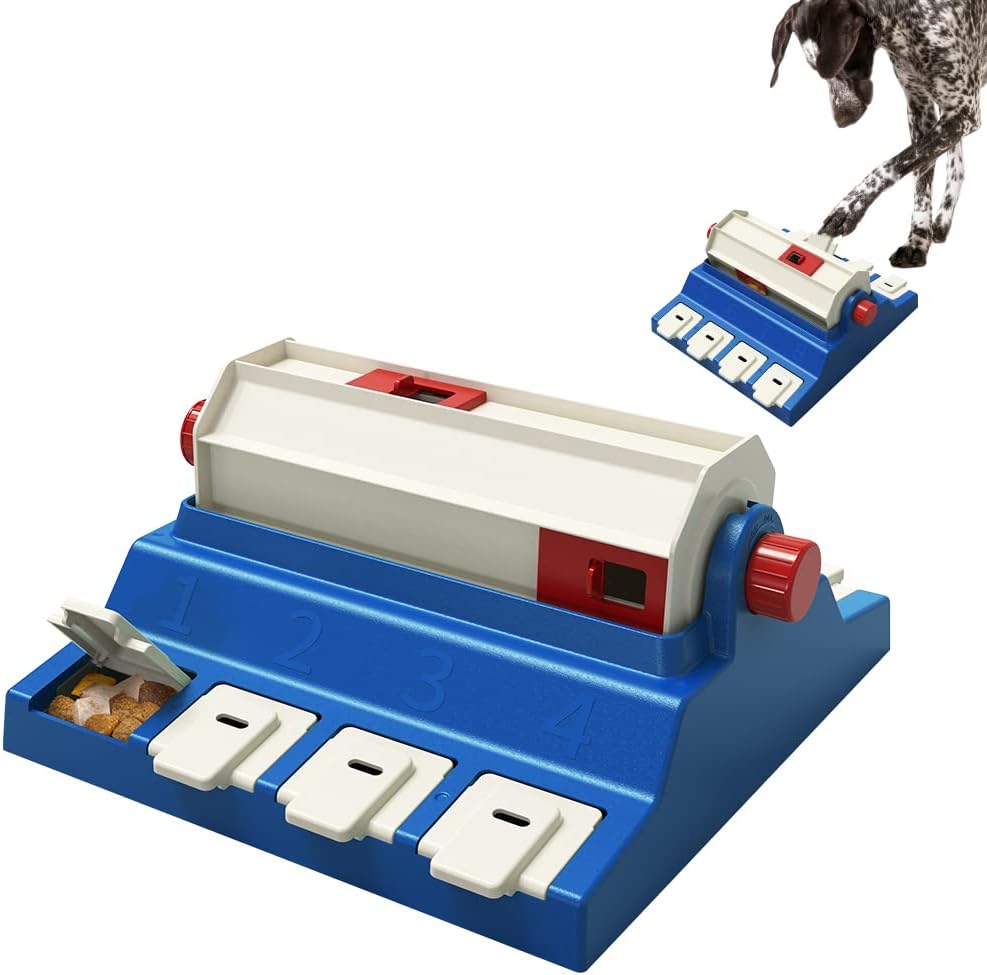 51nl95RWY0L. AC SL1001 Die 5 besten Lernspielzeuge für Hunde – Spielerisch lernen und fördern!