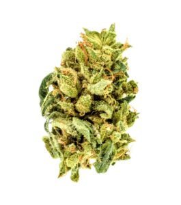 Buddhas Relief GG Meine Erfahrungen mit GRÜNES GOLD® CBD-Produkten: Eine Reise zur Entdeckung von Hanf