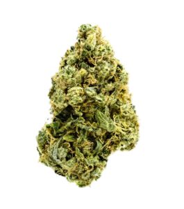 Double Trouble GG Meine Erfahrungen mit GRÜNES GOLD® CBD-Produkten: Eine Reise zur Entdeckung von Hanf