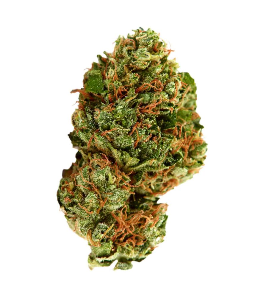 Gelato GG Meine Erfahrungen mit GRÜNES GOLD® CBD-Produkten: Eine Reise zur Entdeckung von Hanf