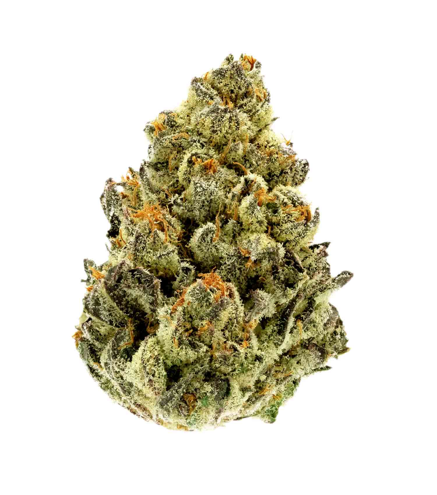 Gorilla Glue GG Meine Erfahrungen mit GRÜNES GOLD® CBD-Produkten: Eine Reise zur Entdeckung von Hanf