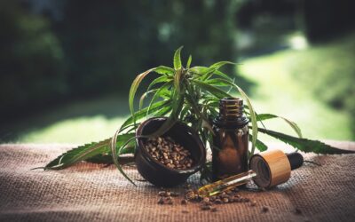 GRÜNES GOLD® – Meine Erfahrungen mit Hanf-basierten CBD-Produkten